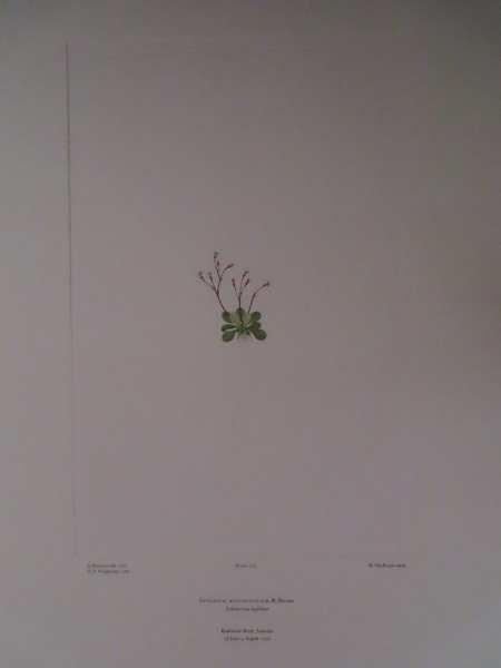 image FDA-E.2916_8_19-2016