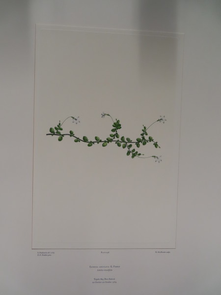 image FDA-E.2916_24_9-2016