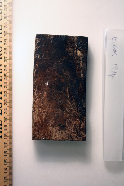 ECM.1914-2010-B image ECM.1914-2010-B