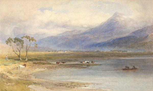 FDA-D.253-2010 image FDA-D.253-2010