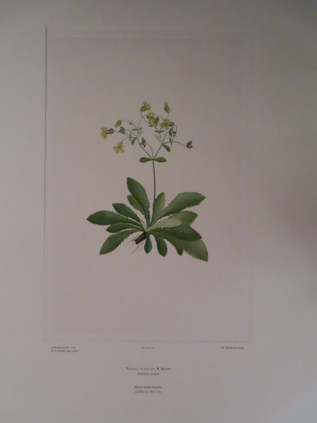 image FDA-E.2916_8_24-2016