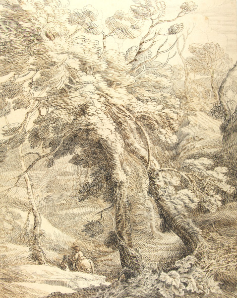 FDA-D.504-2010 image FDA-D.504-2010