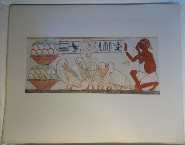 image FDA-E.3055_53-2018