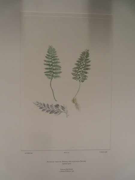 image FDA-E.2916_27_16-2016-A