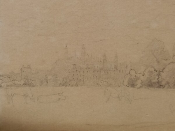 FDA-D.1748-2024-B image FDA-D.1748-2024-B