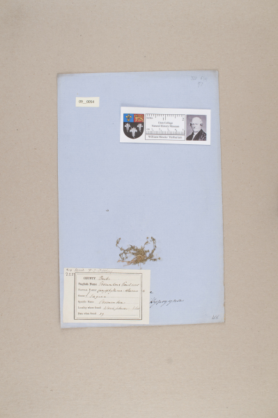 NHM_HH_9.54-2010 image NHM_HH_9.54-2010