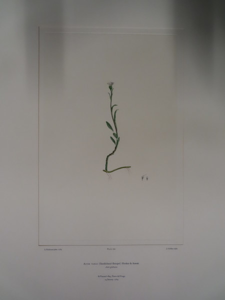 FDA-E.2916_33_11-2016-A image FDA-E.2916_33_11-2016-A