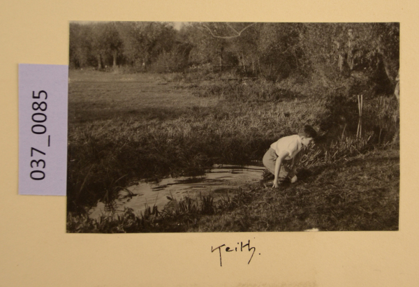 PA-A.37_85-2012 image PA-A.37_85-2012