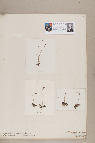 NHM_HH_26.107-2010 image NHM_HH_26.107-2010