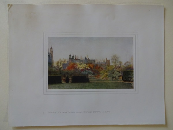 FDA-E.2833_2-2016 image FDA-E.2833_2-2016