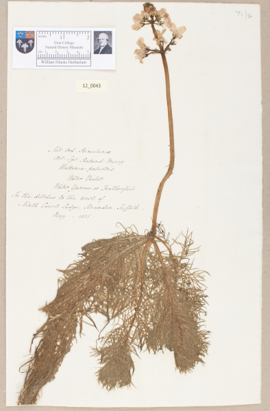 NHM_HH_12.43-2010 image NHM_HH_12.43-2010