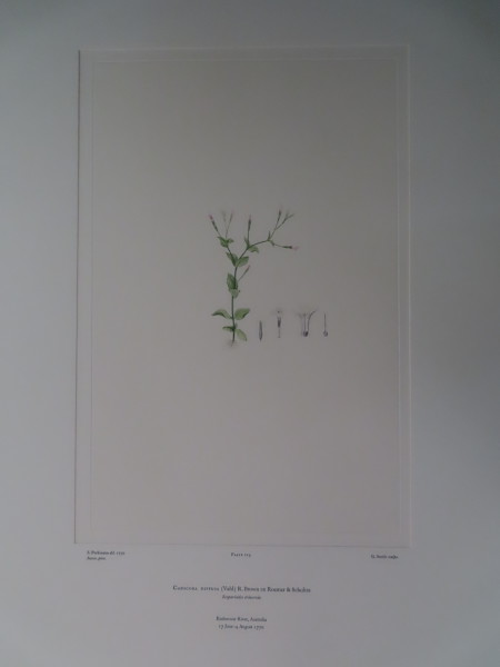 FDA-E.2916_10_20-2016 image FDA-E.2916_10_20-2016