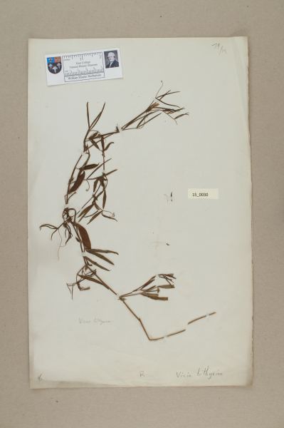 NHM_HH_15.30-2010 image NHM_HH_15.30-2010