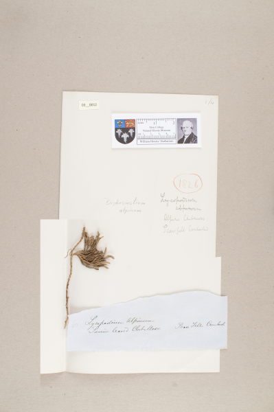 NHM_HH_3.12-2010 image NHM_HH_3.12-2010