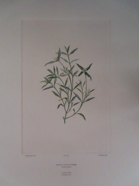 FDA-E.2916_16_11-2016 image FDA-E.2916_16_11-2016