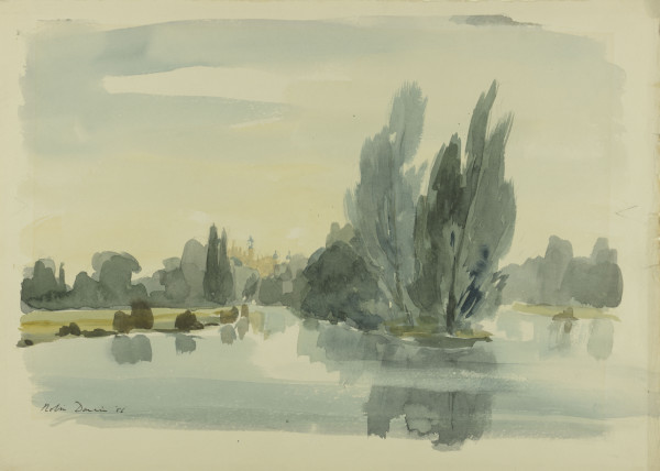 FDA-D.171-2010 image FDA-D.171-2010