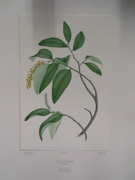 image FDA-E.2916_18_15-2016-A