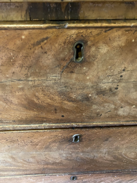 FDA-A.2314-2021-B image FDA-A.2314-2021-B