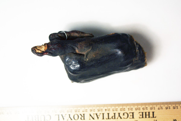 ECM.2310-2017-B image ECM.2310-2017-B