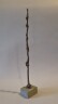 image FDA-Sc.244-2026-A