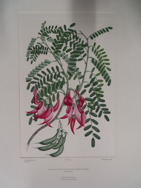 image FDA-E.2916_21_12-2016