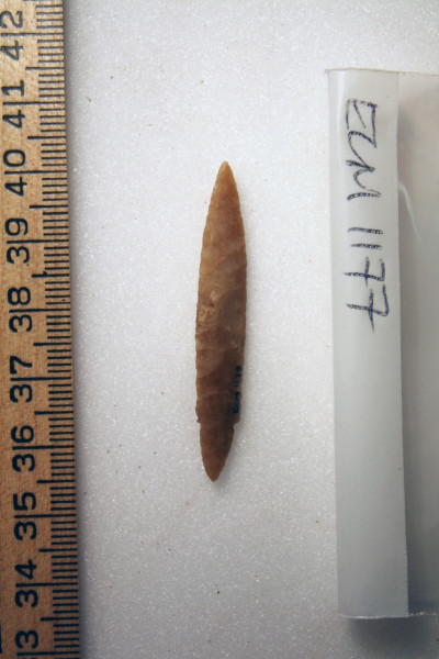 ECM.1177-2010-B image ECM.1177-2010-B