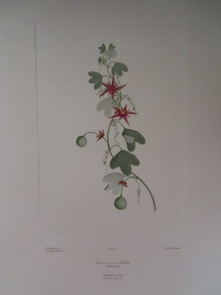 FDA-E.2916_6_25-2016 image FDA-E.2916_6_25-2016