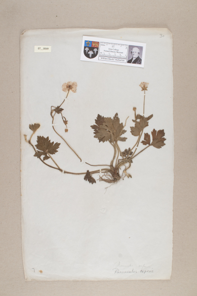 NHM_HH_7.69-2010 image NHM_HH_7.69-2010