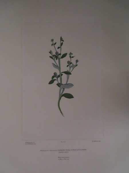 image FDA-E.2916_8_6-2016-A