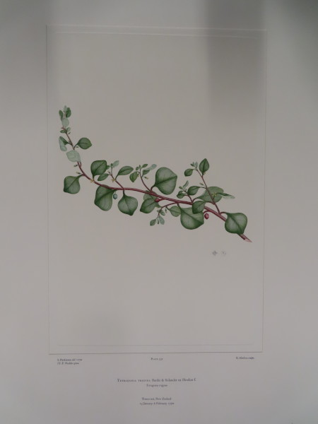 image FDA-E.2916_25_19-2016