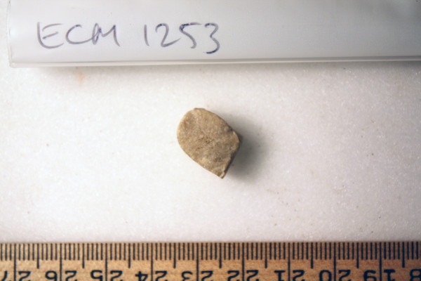 ECM.1253-2010-A image ECM.1253-2010-A