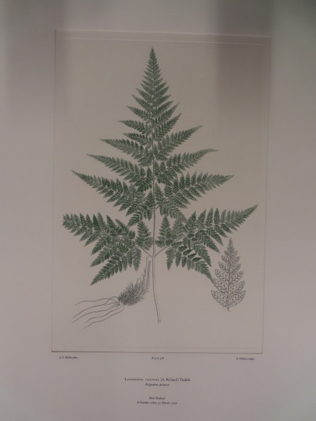 FDA-E.2916_27_20-2016 image FDA-E.2916_27_20-2016