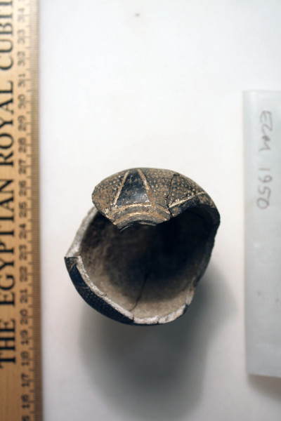 ECM.1950-2010-C image ECM.1950-2010-C