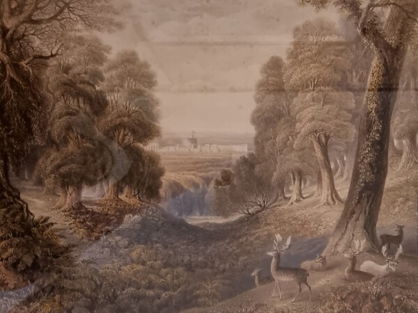 FDA-E.717-2012-A image FDA-E.717-2012-A