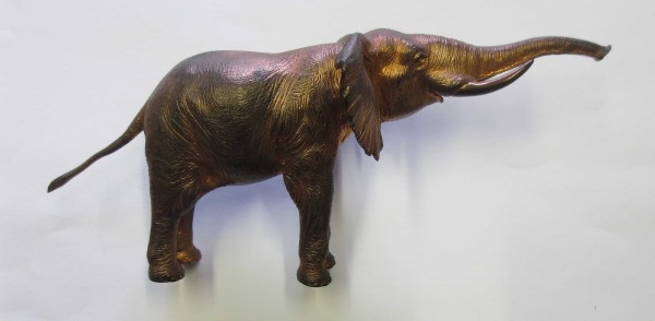 NHM-EE.63-2015 image NHM-EE.63-2015