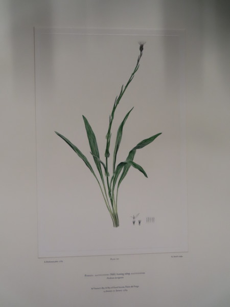 image FDA-E.2916_33_16-2016-A