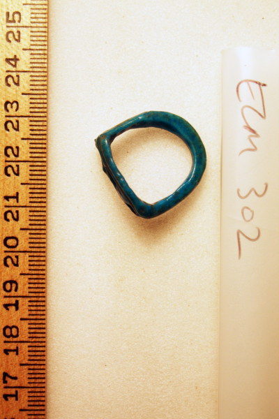 ECM.302-2010-B image ECM.302-2010-B