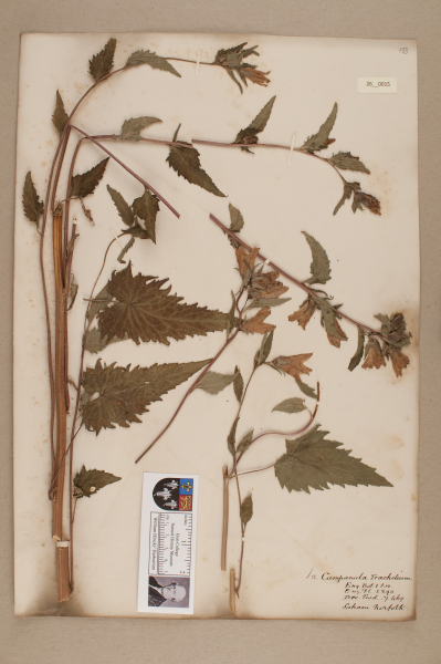 NHM_HH_26.15-2010 image NHM_HH_26.15-2010