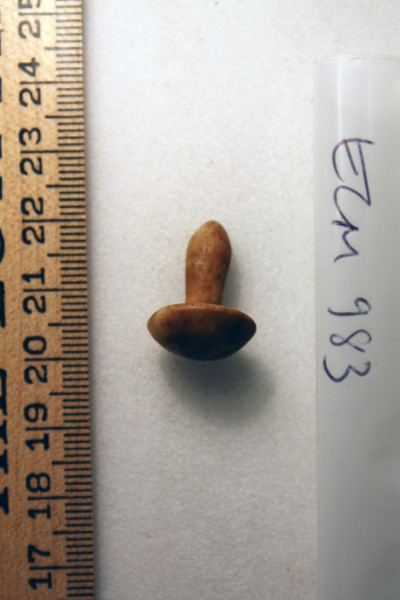 ECM.983-2010-A image ECM.983-2010-A