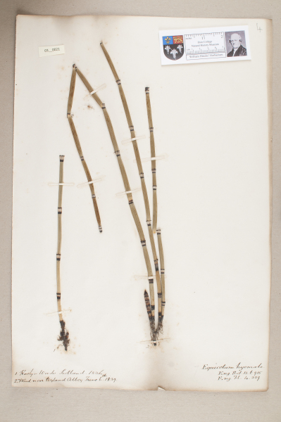 NHM_HH_3.21-2010 image NHM_HH_3.21-2010