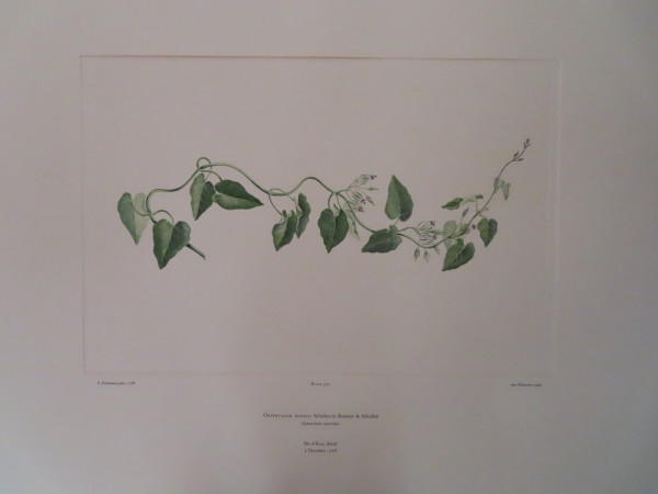 image FDA-E.2916_16_16-2016