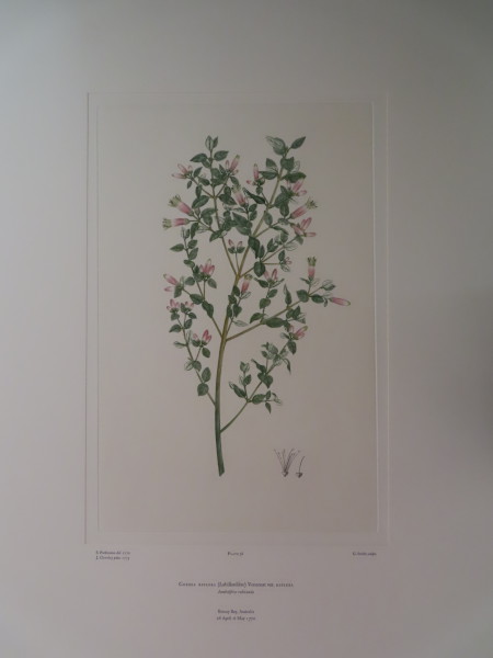 image FDA-E.2916_2_17-2016-A