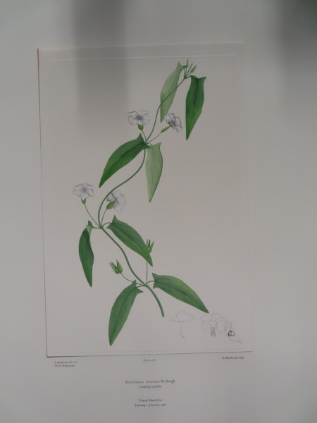 FDA-E.2916_18_4-2016-A image FDA-E.2916_18_4-2016-A