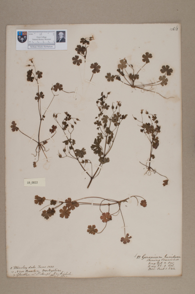 NHM_HH_19.22-2010 image NHM_HH_19.22-2010