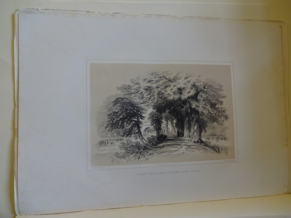 FDA-E.2851_6-2016 image FDA-E.2851_6-2016