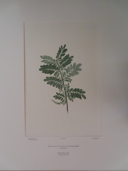 image FDA-E.2916_4_4-2016-A