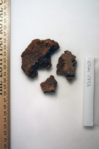 ECM.1756-2010-A image ECM.1756-2010-A