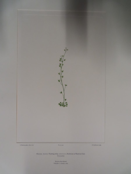 FDA-E.2916_21_17-2016 image FDA-E.2916_21_17-2016