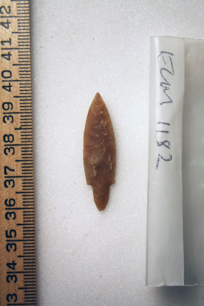 ECM.1182-2010-A image ECM.1182-2010-A