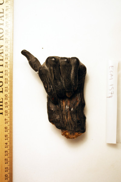 ECM.1574-2010-C image ECM.1574-2010-C